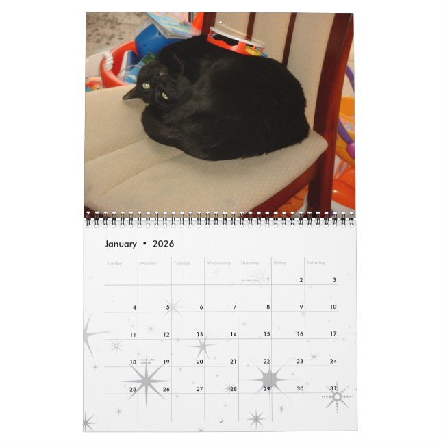 Calendario Gatos, gatos gloriosos (Jan 2026)