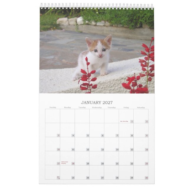 Calendario Gatos griegos (Jan 2027)