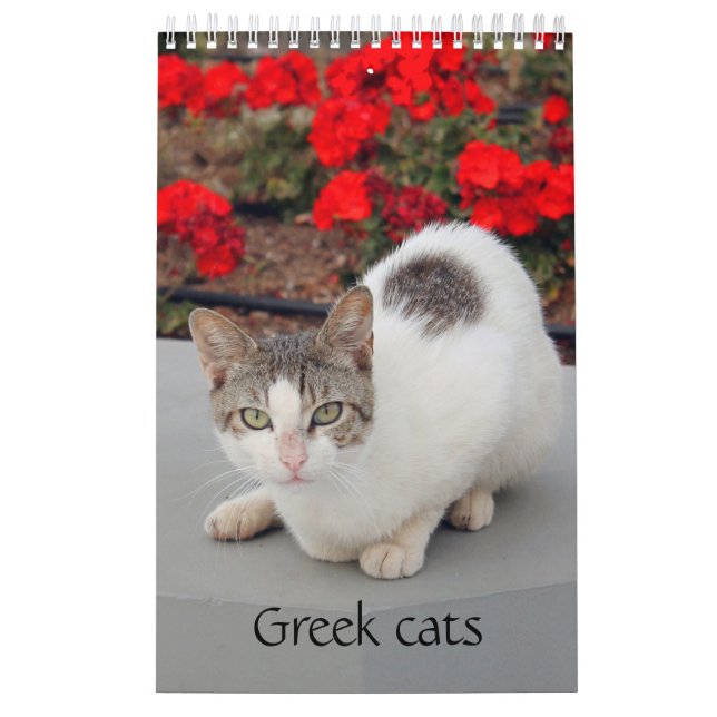 Calendario Gatos griegos - instantáneas de los pequeños compa (Tapa)