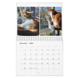 Calendario Gatos Kitty