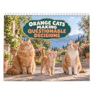 Calendario Gatos Naranjas Divertidos Tomando Decisiones Dudos