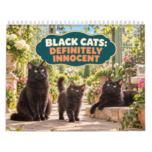 Calendario Gatos Negros Divertidos Definitivamente Inocentes