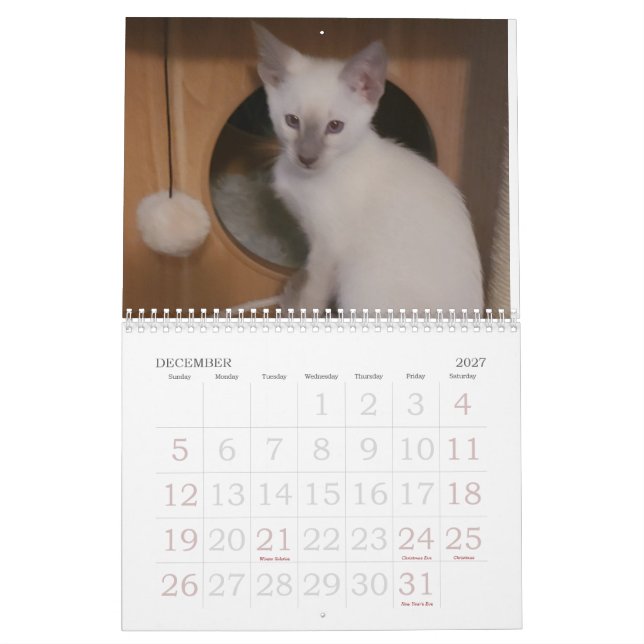 Calendario Gatos siameses (Dec 2027)
