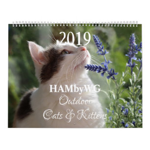 Calendario Gatos y gatitos al aire libre HAMbWG