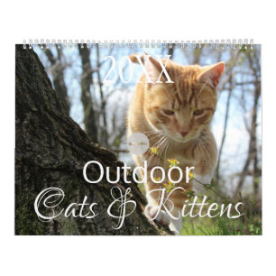 Calendario Gatos y gatitos al aire libre HAMbWG