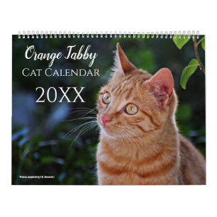 Calendario Gatos y Gatitos Naranjas Atractivos 2027 
