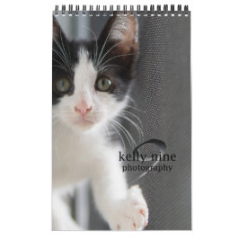 Calendario Gatos y gatitos por Kelly Nine Photography