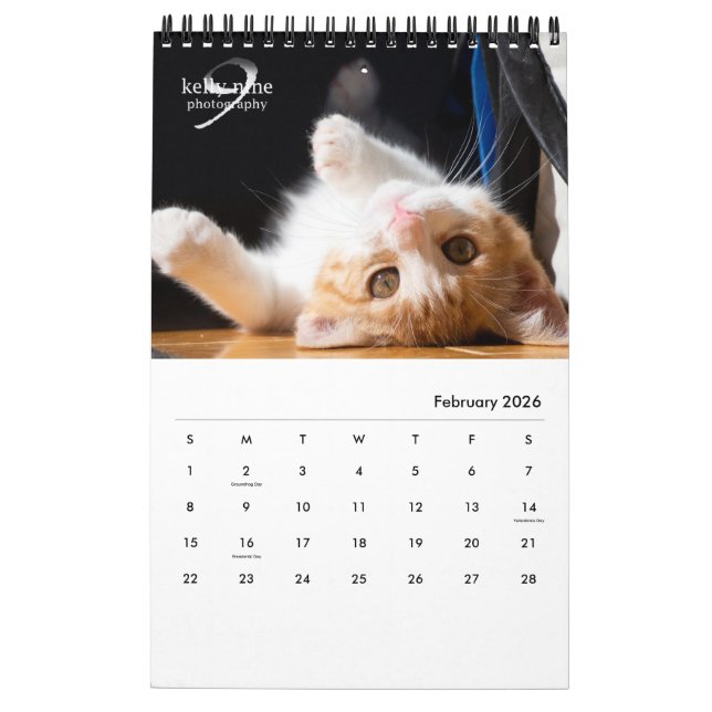 Calendario Gatos y gatitos por Kelly Nine Photography (Feb 2026)