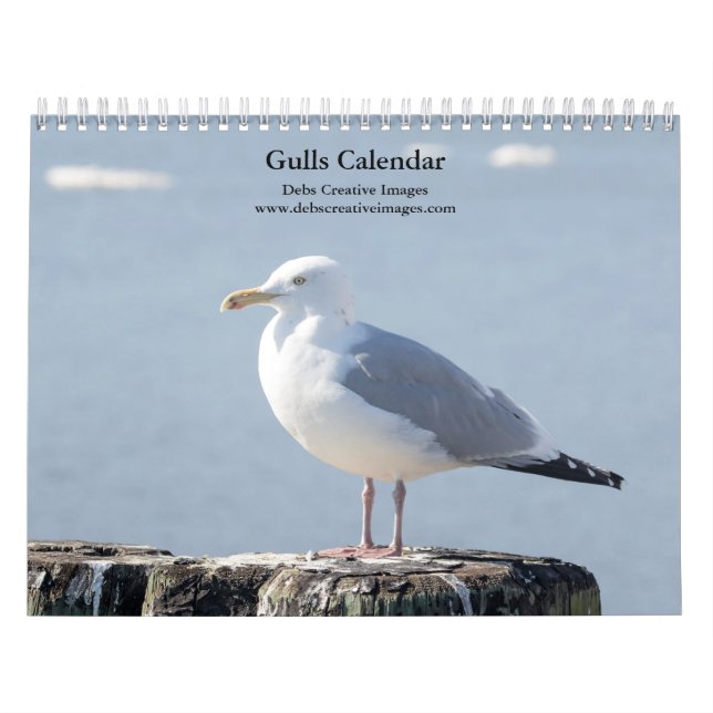 Calendario Gaviotas 2026 (Tapa)