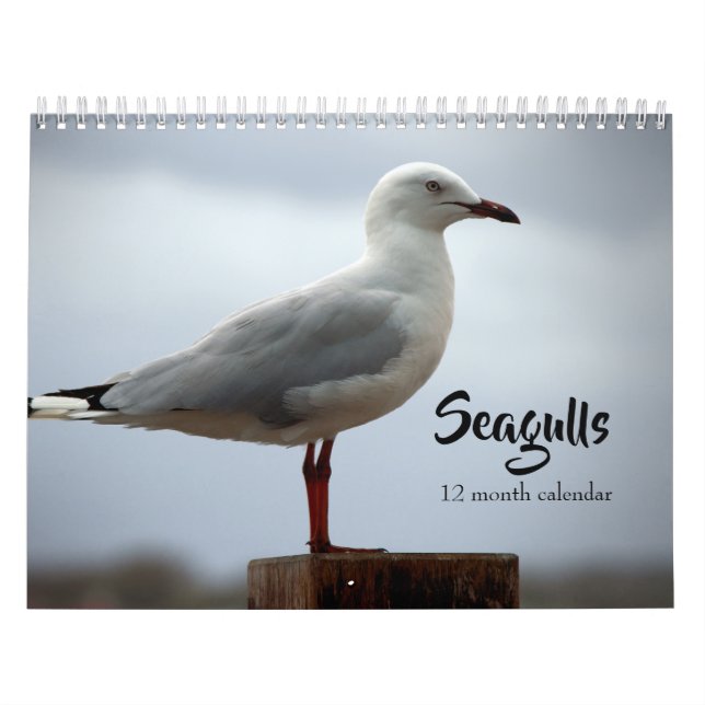 Calendario Gaviotas 2026 (Tapa)