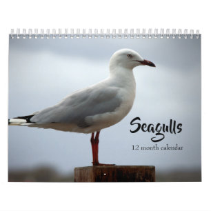 Calendario Gaviotas 2026