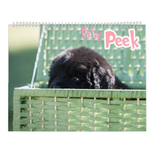 Calendario GCH Notta lleva Piqued mi interés