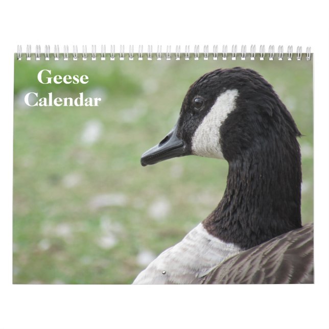 Calendario Geese 2025 (Tapa)