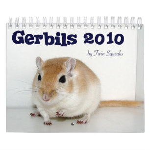 Calendario Gerbils 2010