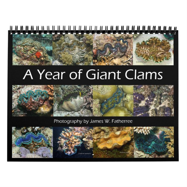 Calendario Gigante Clams Wall Calendar 2 de James W. Fatherre (Tapa)