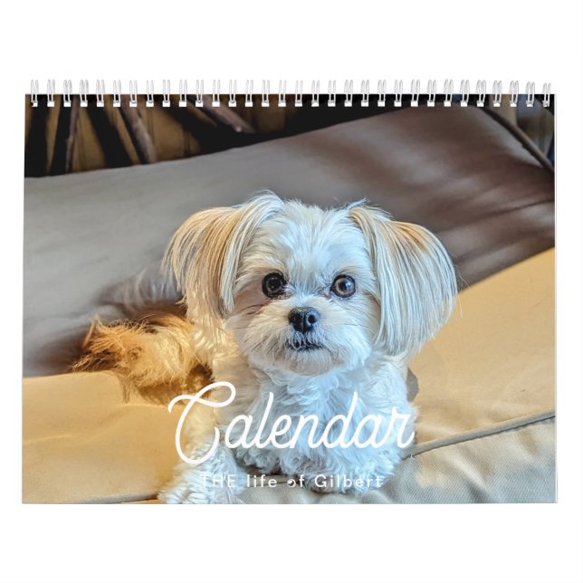 Calendario Gilbert 2025 (Tapa)