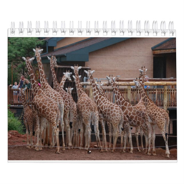 Calendario Giraffe 2022 de 5,5" x 7" (Tapa)