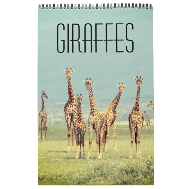 Calendario giraffe african safari (Tapa)
