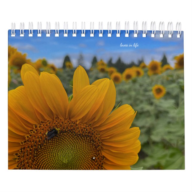 Calendario Girasol (Tapa)