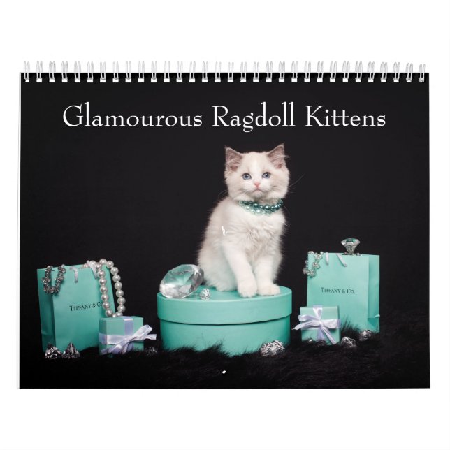 Calendario Glamoroso Ragdoll Kittens (Tapa)