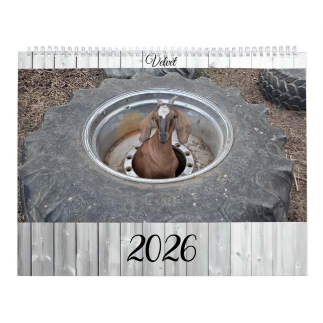 Calendario Goats of 2026 calendar (Tapa)
