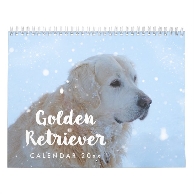 Calendario Golden Retriever 2026 Mensual (Tapa)