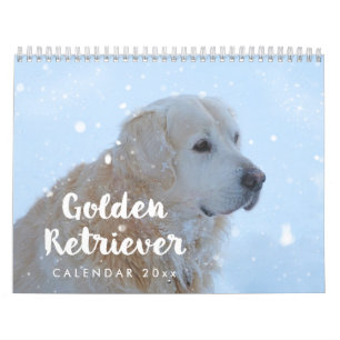 Calendario Golden Retriever 2026 Mensual