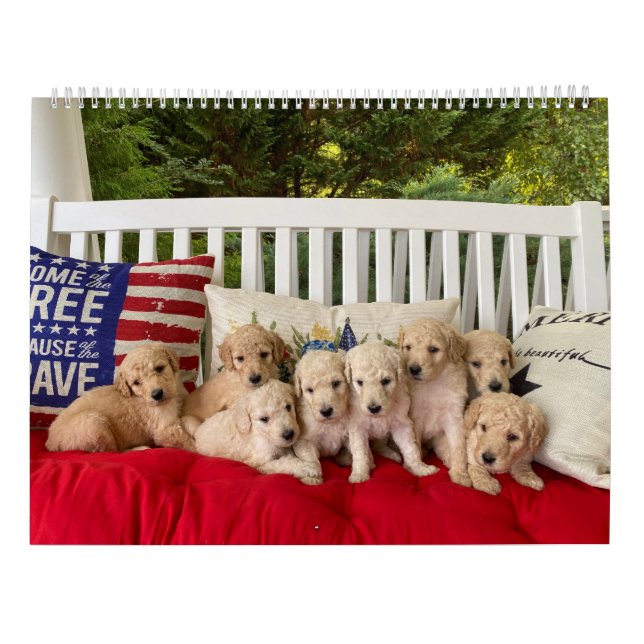 Calendario Goldendoodle Puppy (Reverso)