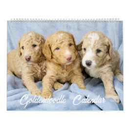 Calendario Goldendoodle Puppy