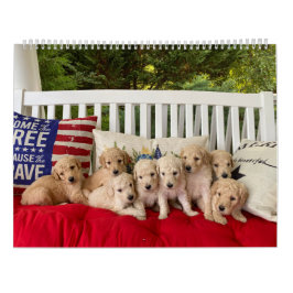 Calendario Goldendoodle Puppy