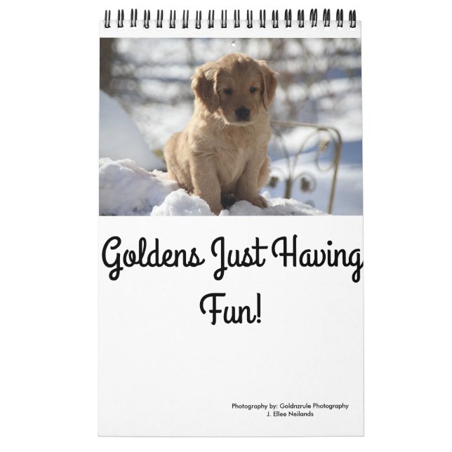 Calendario Goldens apenas que se divierte (Tapa)