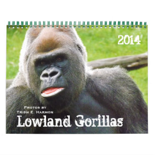 Calendario Gorilas de Lowland del zoológico de Kansas City