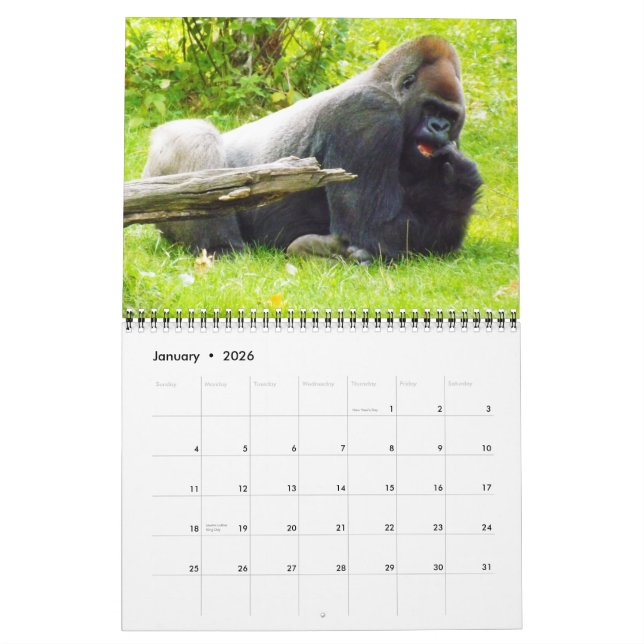 Calendario Gorilas de Lowland del zoológico de Kansas City (Jan 2026)