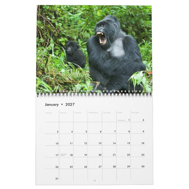 Calendario - gorilas de montaña de Rwanda (Jan 2027)