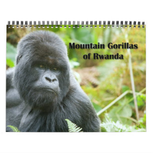 Calendario - gorilas de montaña de Rwanda
