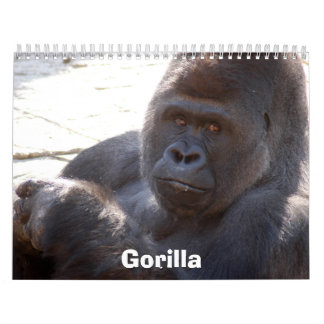 Calendario Gorilla_004, gorila