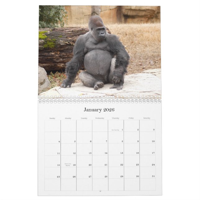Calendario Gorilla_018, gorila (Jan 2026)