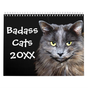 Calendario Graciosos gatos con actitud común
