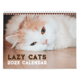 Calendario Graciosos gatos perezosos 2026