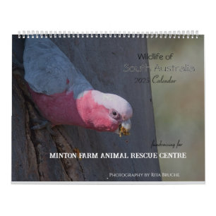 Calendario gran calénder 24