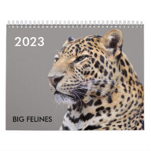 Calendario grande como un gato