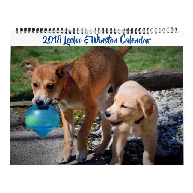 Calendario grande de 2 páginas de Leeloo y Winston (Tapa)