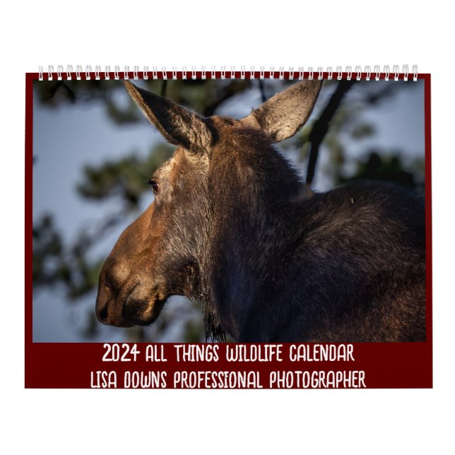 Calendario grande de dos páginas, blanco (Tapa)