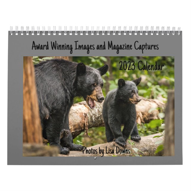 Calendario grande de dos páginas, blanco (Tapa)