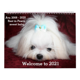 Calendario grande de dos páginas, calendario blanc