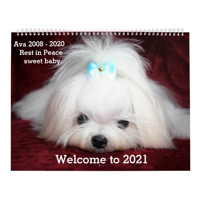 Calendario grande de dos páginas, calendario blanc (Tapa)