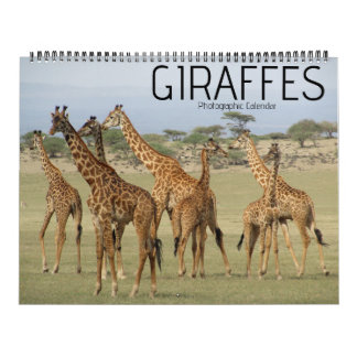 calendario grande de giraffe safari 2025