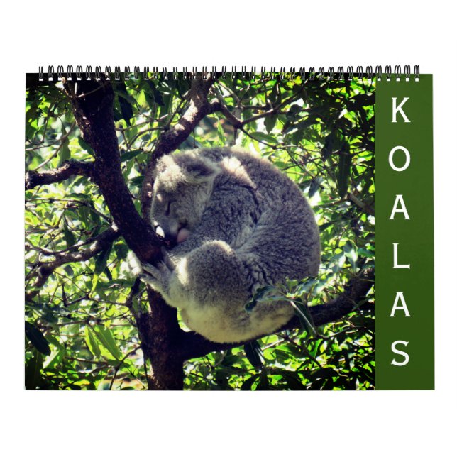 calendario grande de koalas 2025 (Tapa)