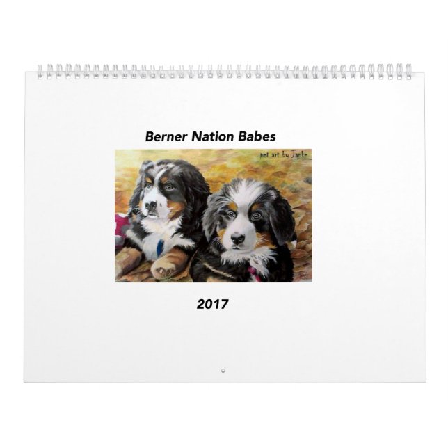 Calendario grande de los bebés 2017 de la nación (Tapa)