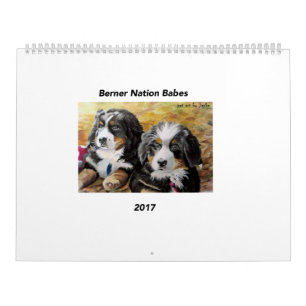 Calendario grande de los bebés 2017 de la nación